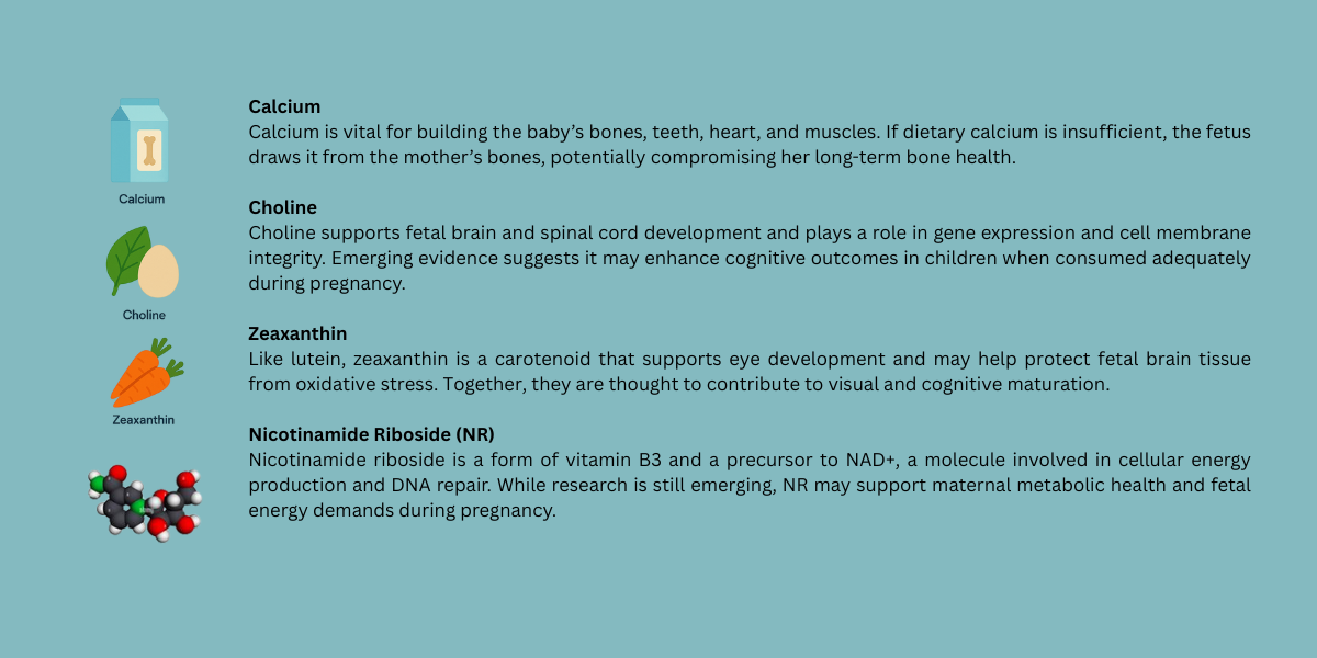 Key Nutrients Part 2