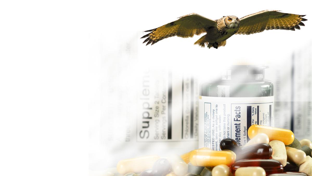 Supplement OWL